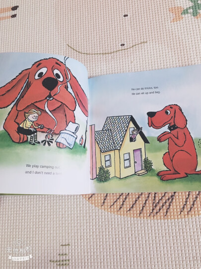 大红狗 消防狗进口原版 平装 分级阅读小学阶段（7-12岁） 进口故事书 晒单图