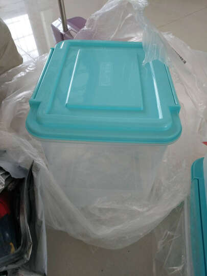 爱思得（Arsto）冰箱保鲜盒塑料收纳盒密封饺子盒速冻厨房收纳箱蓝色3件套装 晒单图