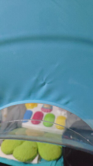 诺澳 婴儿游泳圈幼儿童腋下圈1-3岁适用 安全可调双气囊充气宝宝新生儿救生圈 小孩洗澡戏水玩具泳圈 晒单图