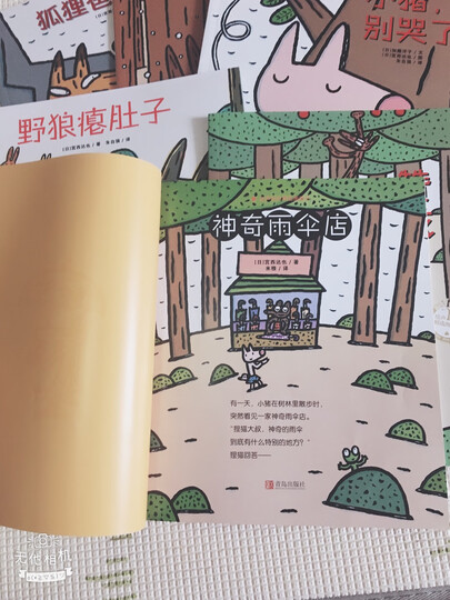 宫西达也精装绘本:正义之士 晒单图