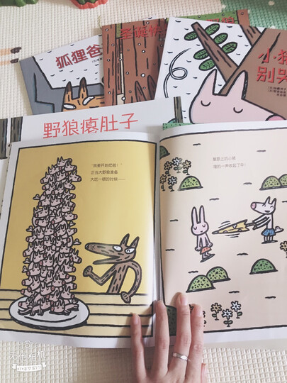 宫西达也精装绘本:正义之士 晒单图
