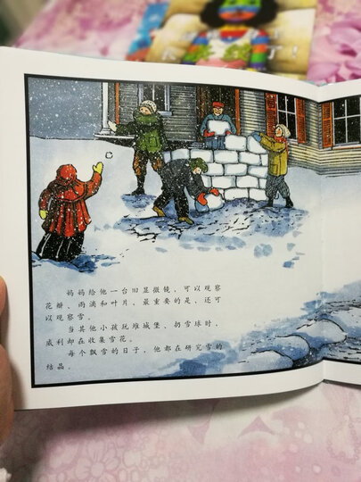 凯迪克金奖绘本:雪花人(启发童书馆出品) 晒单图