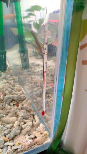 FISH BABY鱼缸温度计测水温观赏鱼水族箱专用家用防水小胖潜水 迷你小缸用温度计 晒单图