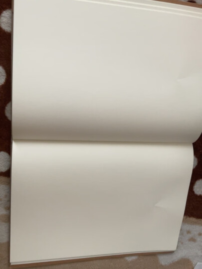 YOQUN B5复古欧式牛皮纸空白本韩版速写本白纸素描本创意笔记本加厚简约无印手绘本/A5记事本定制 32K牛皮纸内页-120页 晒单图