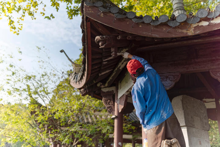 腾龙(Tamron)F016 SP 85mm F/1.8 Di VC USD全画幅大光圈定焦防抖镜头 街拍人像镜头(佳能单反卡口) 晒单图