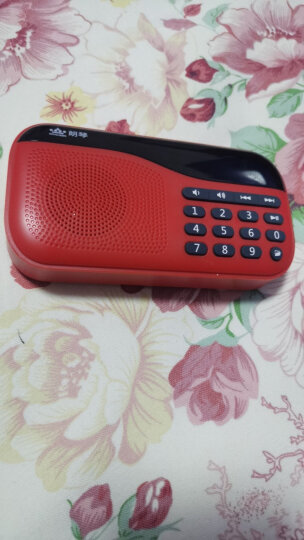 朗琴（ROYQUEEN）X5 便携式插卡收音机随身听 老年mp3音乐播放器 手机迷你音响 数字点唱机 烈焰红 晒单图