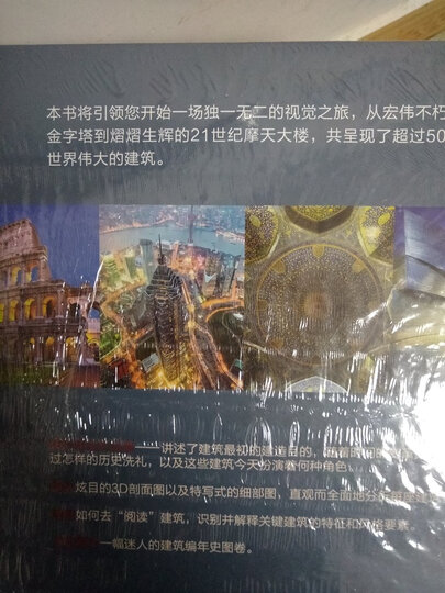 DK经典作品与图解建筑细部:伟大的建筑+解读建筑(套装共2册) 晒单图