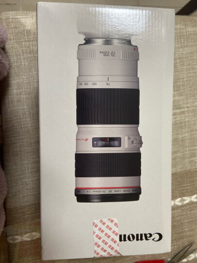 佳能（Canon）EF 70-300mm f/4-5.6L IS USM 单反镜头 晒单图