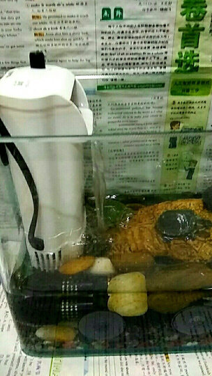 森森(SUNSUN)油膜处理过滤器 JY-03 小鱼缸增氧过滤器 晒单图