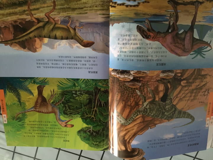 世界恐龙大百科（“十二五”重点图书 中国龙王董枝明 精装） 晒单图