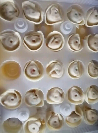 湾仔码头 上海青菜香菇猪肉馄饨 600g 30只 儿童早餐 小馄饨 云吞面 火锅食材 方便菜 晒单图