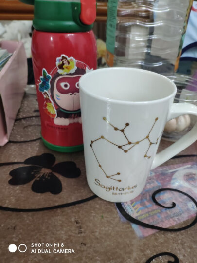 布丁瓷艺 创意十二星座马克杯牛奶杯陶瓷杯子男女士情侣水杯咖啡杯带盖勺 狮子座（黑） 晒单图
