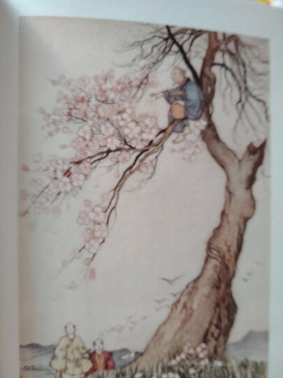 文学名家名著:北欧维京英雄传奇(大师插图本) 晒单图