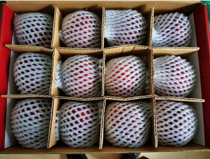 潘苹果 甘肃天水红富士苹果 9个 一级铂金果 2kg 单果210g-230g 自营水果 晒单图