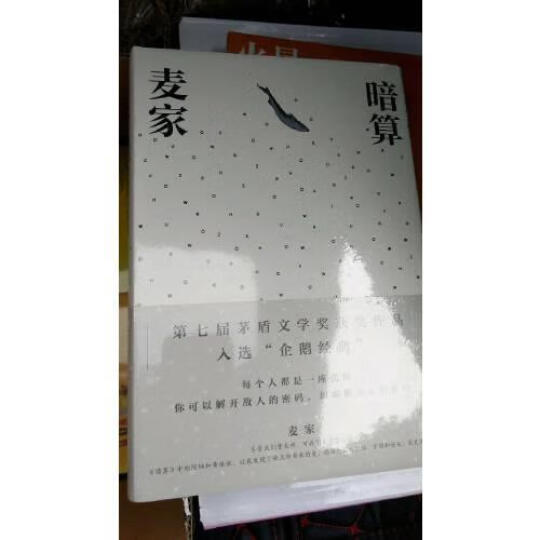 京东文学奖入围作品】 没眼人 亚妮  中信出版社 晒单图
