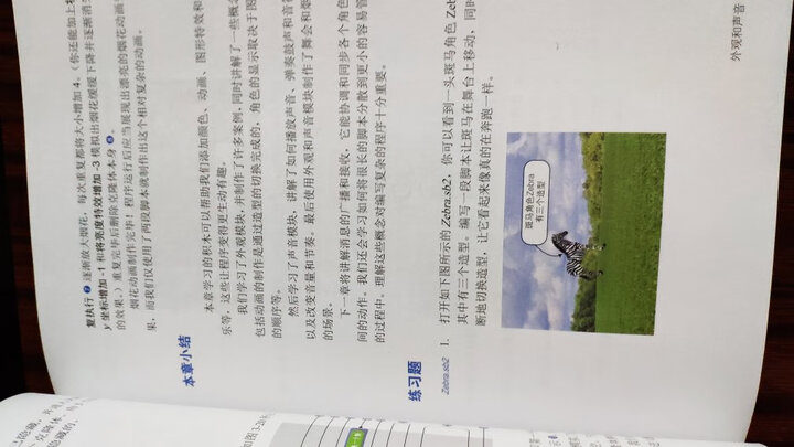 动手玩转ScratchJr编程:STEAM创新教育指南 晒单图