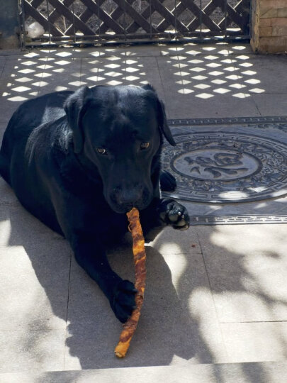 康多乐狗粮成犬8kg 全犬型 牛肉蔬菜味全价犬粮 晒单图