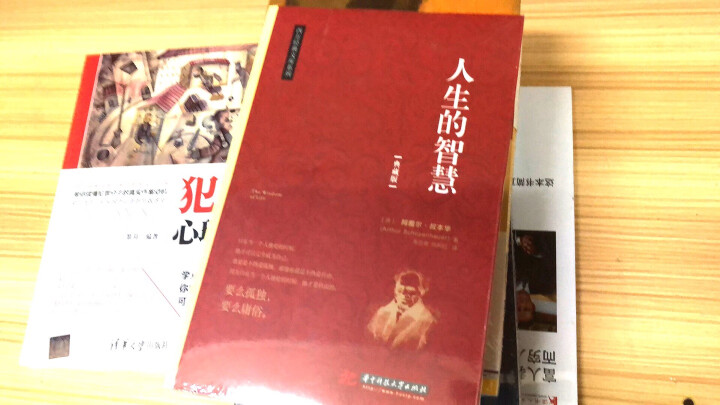 人生的智慧：大哲学家叔本华花甲之年的成名作（京东定制） 晒单图