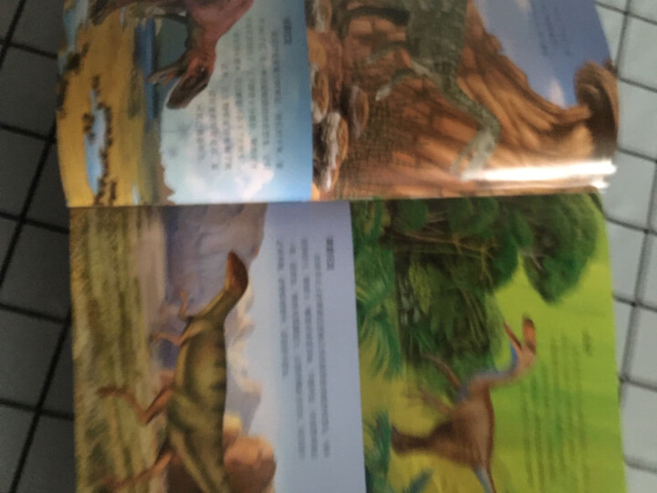 世界恐龙大百科（“十二五”重点图书 中国龙王董枝明 精装） 晒单图