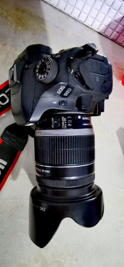 佳能（Canon）EOS 80D 单反相机 单反套机（EF-S 18-200mm f/3.5-5.6 IS 单反镜头） 晒单图