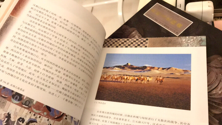 丝绸之路与敦煌文化丛书:敦煌文化探微 晒单图