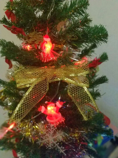 格瑞芬（Gryffon） 圣诞树套餐圣诞装饰品圣诞帽子礼品礼物彩灯 2.1米加密(195配件+电池彩灯) 晒单图