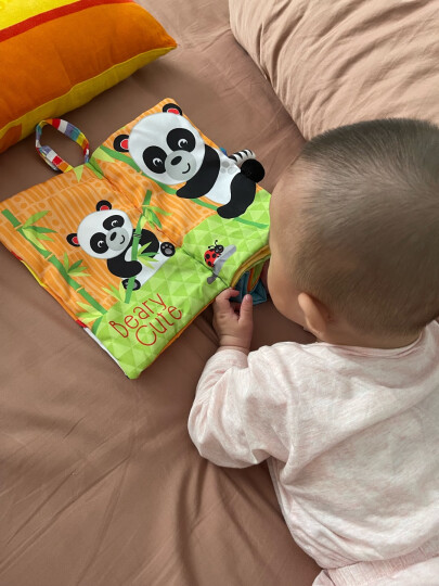 费雪(Fisher-Price)宝宝布书套装6本 婴儿幼儿早教学习玩具0-2岁数字动物形状视觉F0812六一儿童节礼物送宝宝 晒单图