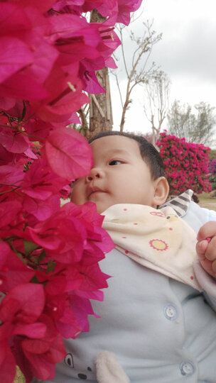 可么多么 (COMOTOMO) 新生儿婴儿 宽口径硅胶断奶奶瓶奶嘴(0-6个月)原装进口大小套装 晒单图