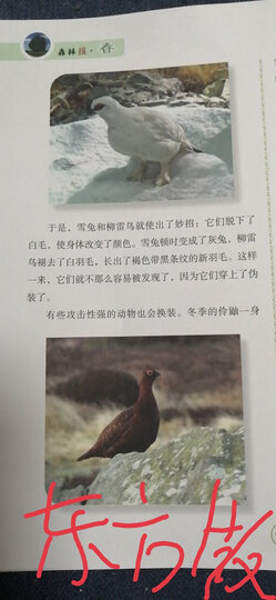 森林报(作者定本全译,珍藏纪念版,礼盒装共4册) 晒单图