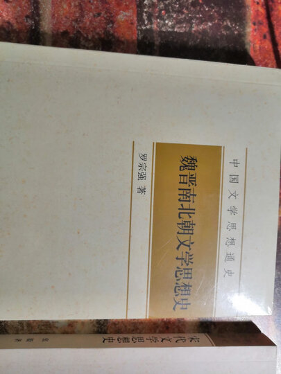中国文学思想通史:魏晋南北朝文学思想史 晒单图