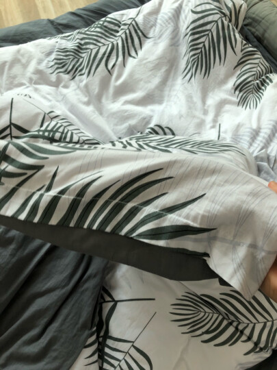 睡眠博士（AiSleep）枕头 释压按摩颗粒泰国乳胶枕进口天然乳胶枕 成人睡眠橡胶波浪颈椎枕芯 晒单图
