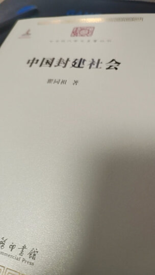 中华现代学术名著丛书：岳飞传 晒单图