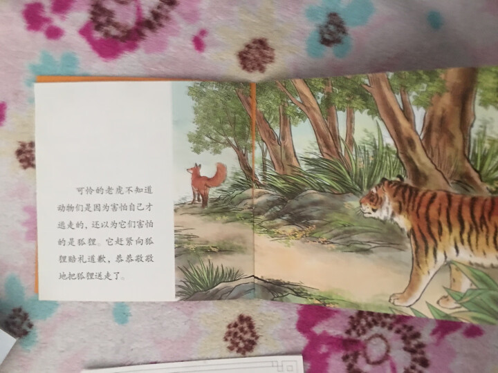 中国绘·绘本西游记 全彩儿童版（套装共10册） 晒单图