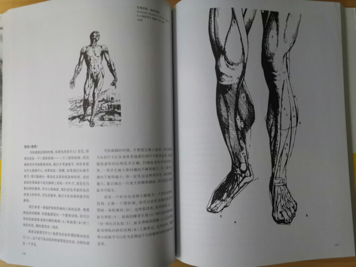 向大师学绘画：人体素描（全新修订版)---西方经典美术技法译丛 晒单图