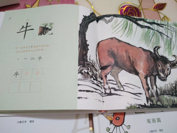 字的家族(套装共3册) 晒单图