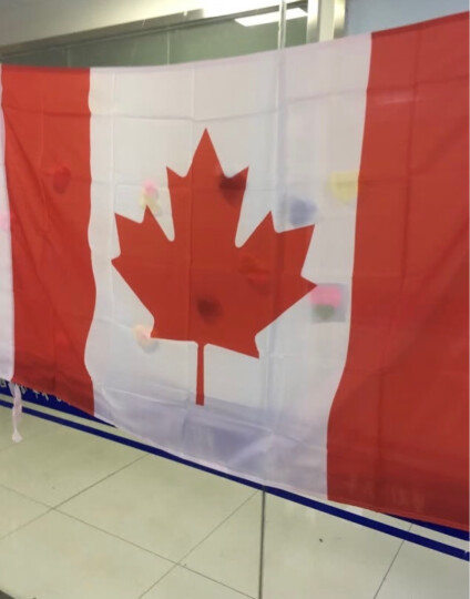 欧德斯曼 世界各国国旗外国旗帜加拿大英国美国德国瑞典韩国法国俄罗斯澳大利亚意大利 印度国旗 2号240X160厘米 晒单图
