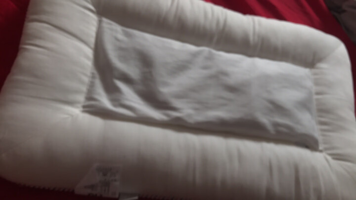 LOVO乐蜗家纺 儿童全棉枕决明子荞麦壳枕头枕芯 40*65cm 晒单图