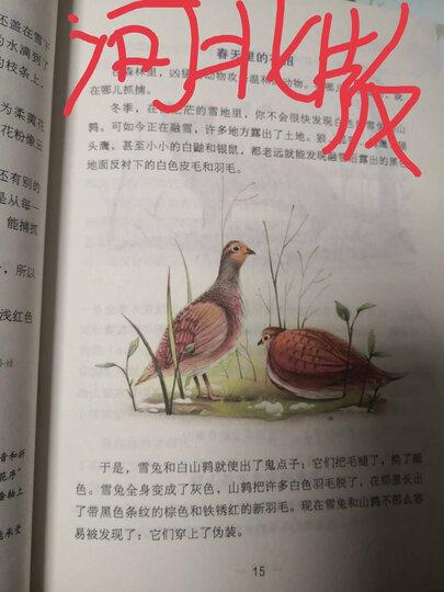 森林报(作者定本全译,珍藏纪念版,礼盒装共4册) 晒单图