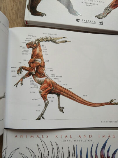 国际插画大师惠特拉奇的动物画教程：艺用生物解剖 晒单图