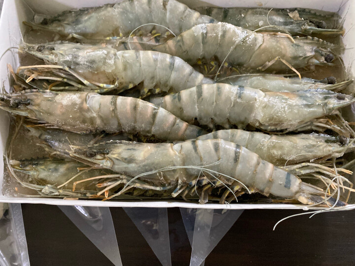 京鲜生活冻黑虎虾 海鲜礼盒 大虾虎虾斑节虾 1kg 7-10个头 长23cm 晒单图