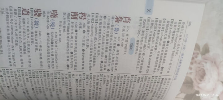 学生成语大词典 彩色版 小学生多功能成语词典 2020年新版中小学生专用辞书工具书字典词典 晒单图