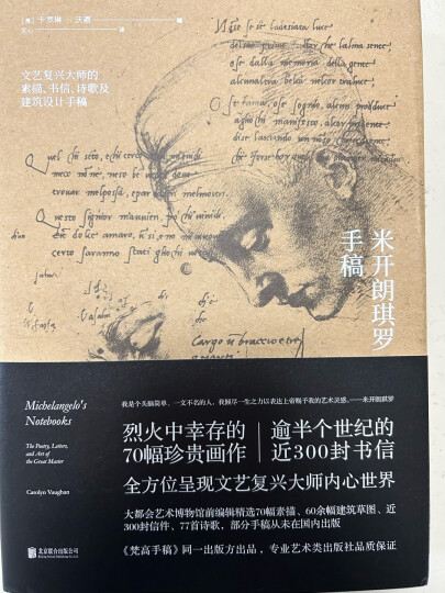米开朗琪罗手稿 : 文艺复兴大师的素描、书信、诗歌及建筑设计手稿 晒单图