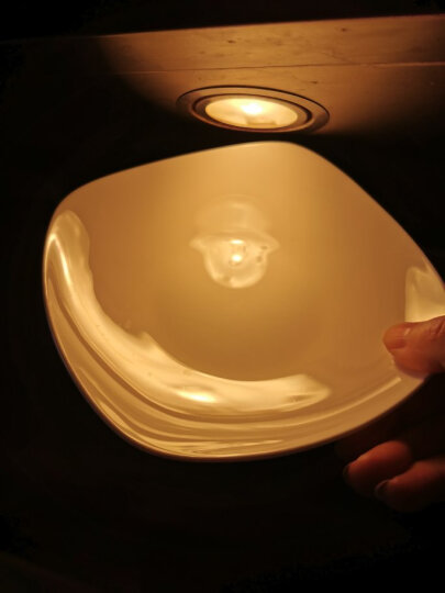 瓷秀源 纯白骨瓷盘子陶瓷碟子菜盘饭盘牛排盘西餐盘简约瓷器可定制 10英寸月光盘1个 直径 25.8cm 晒单图