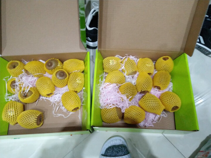 Zespri佳沛 新西兰绿奇异果 12个装 经典36号果 单果重约90-100g 水果礼盒 生鲜水果 晒单图