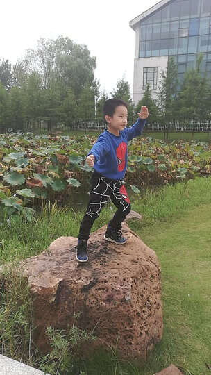 贝尔兰 童装男童套装春秋装2018春季新款中大童儿童蜘蛛侠毛圈套装 红色 130码标准码 晒单图