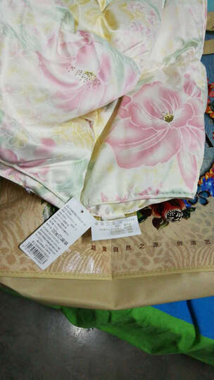 富安娜家纺被子 羽绒被芯冬被白鹅绒被 伊琳娜