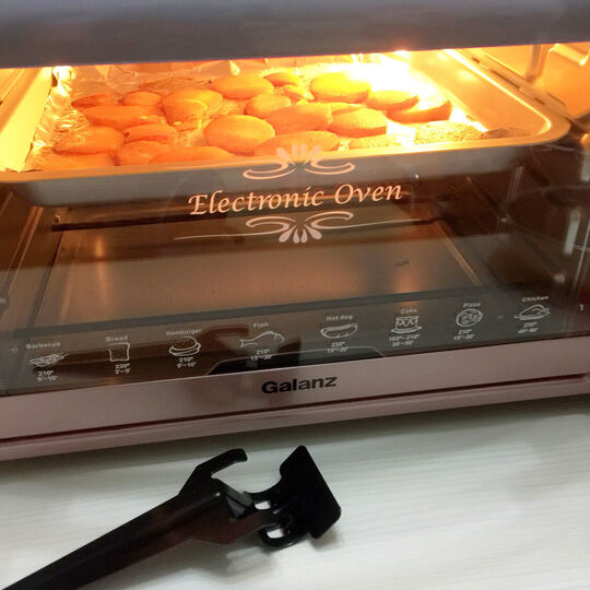 格兰仕(Galanz)家用电器多功能电烤箱30升旋转烤叉防爆炉灯专业烘焙烘烤蛋糕面包KWS1530LX-H7G 晒单图