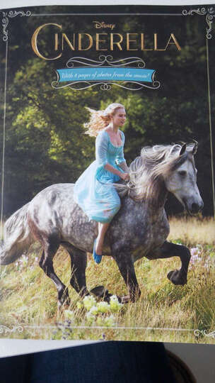 Cinderella Junior Novel 灰姑娘 英文原版--看完
