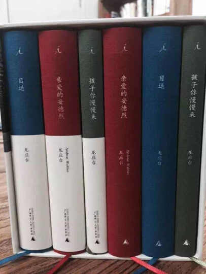 金榜图书 2017李永乐·王式安唯一考研数学系列：线性代数辅导讲义 晒单图