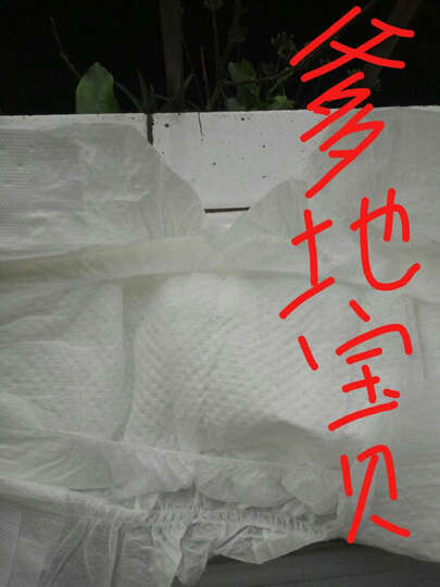 小贝真(sobesen)嘘嘘实实超薄干爽纸尿裤XL20片(12kg以上) 晒单图